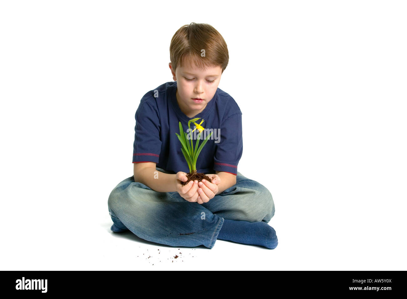 A young boy sat crossed legs holding a new daffodil in his hands shot against a white background Stock Photo