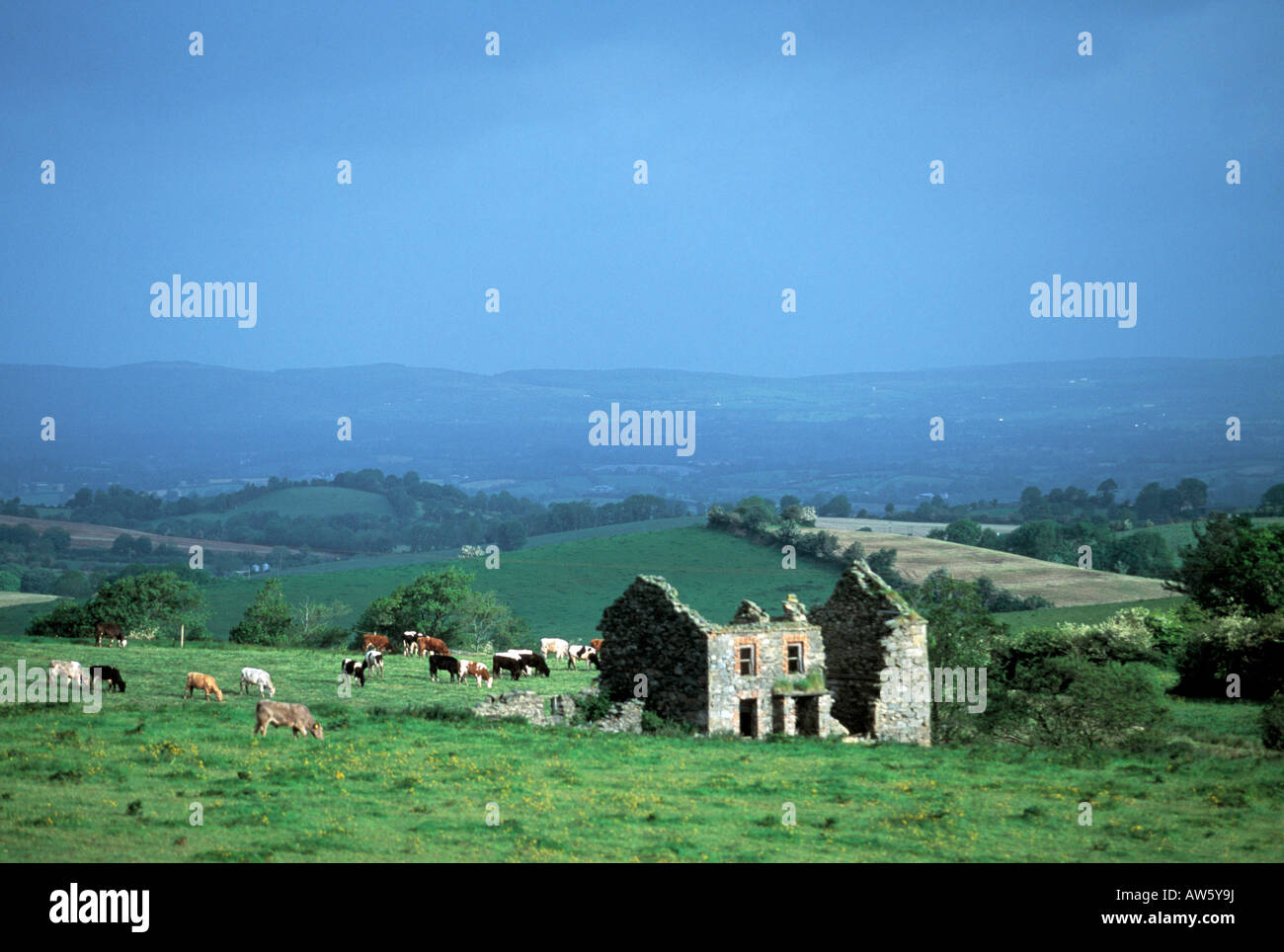 drumlins in the irish countryside Stock Photo Alamy