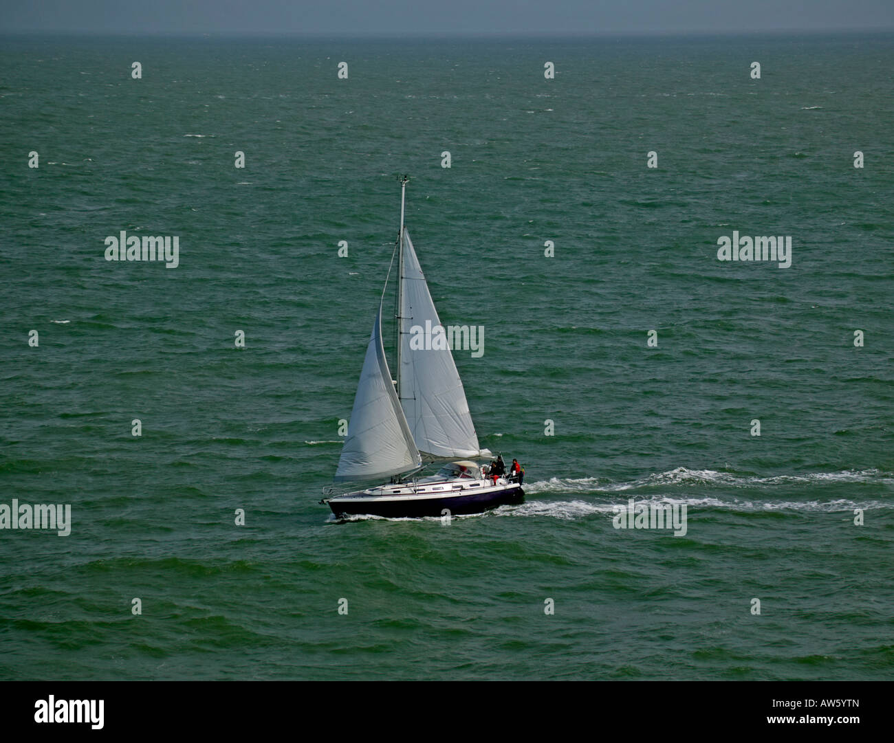 Yacht with white sail in Firth of Forth Estuary, North Sea, Scotland, UK, Europe Stock Photo
