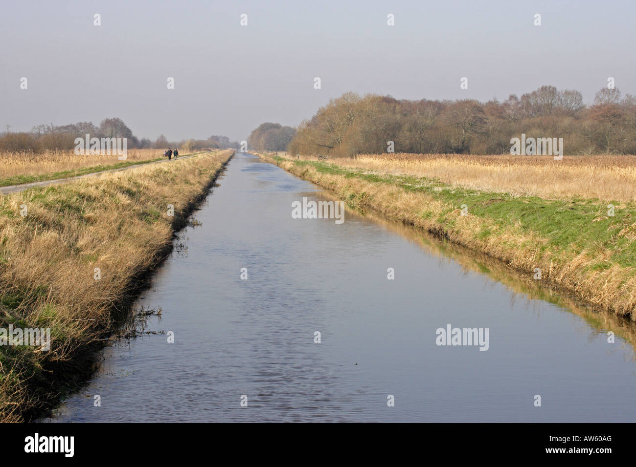 Drainage Ditches Somerset Levels Stock Photo
