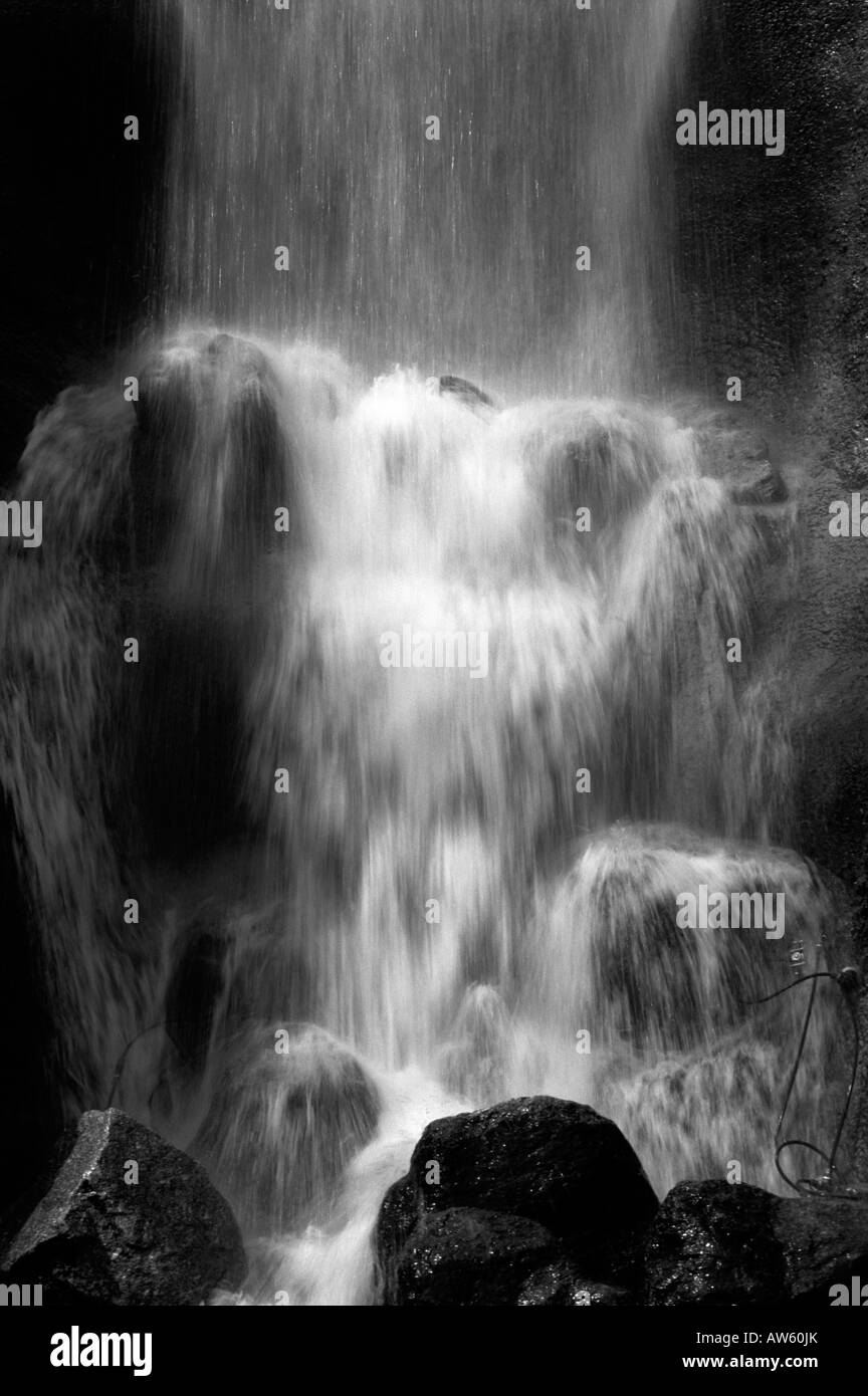 views of the eden project water fall in one of the spheres Stock Photo