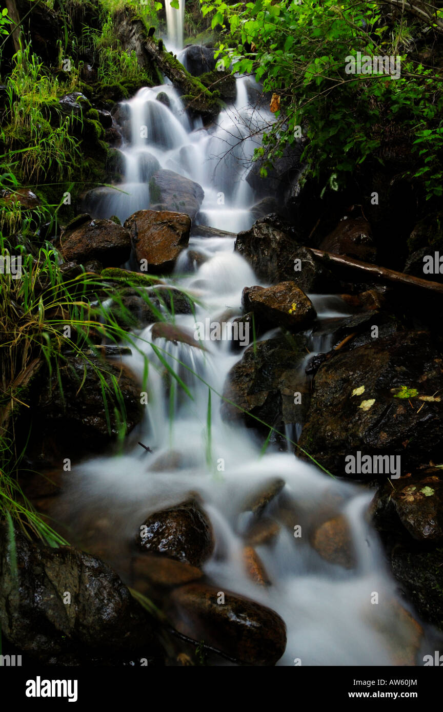 Waterfalls in a forest hi-res stock photography and images - Alamy