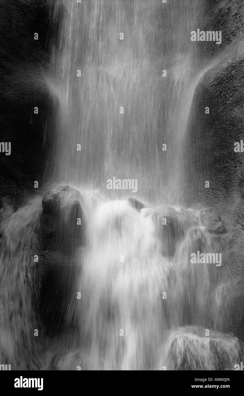 views of the eden project water fall in one of the spheres Stock Photo