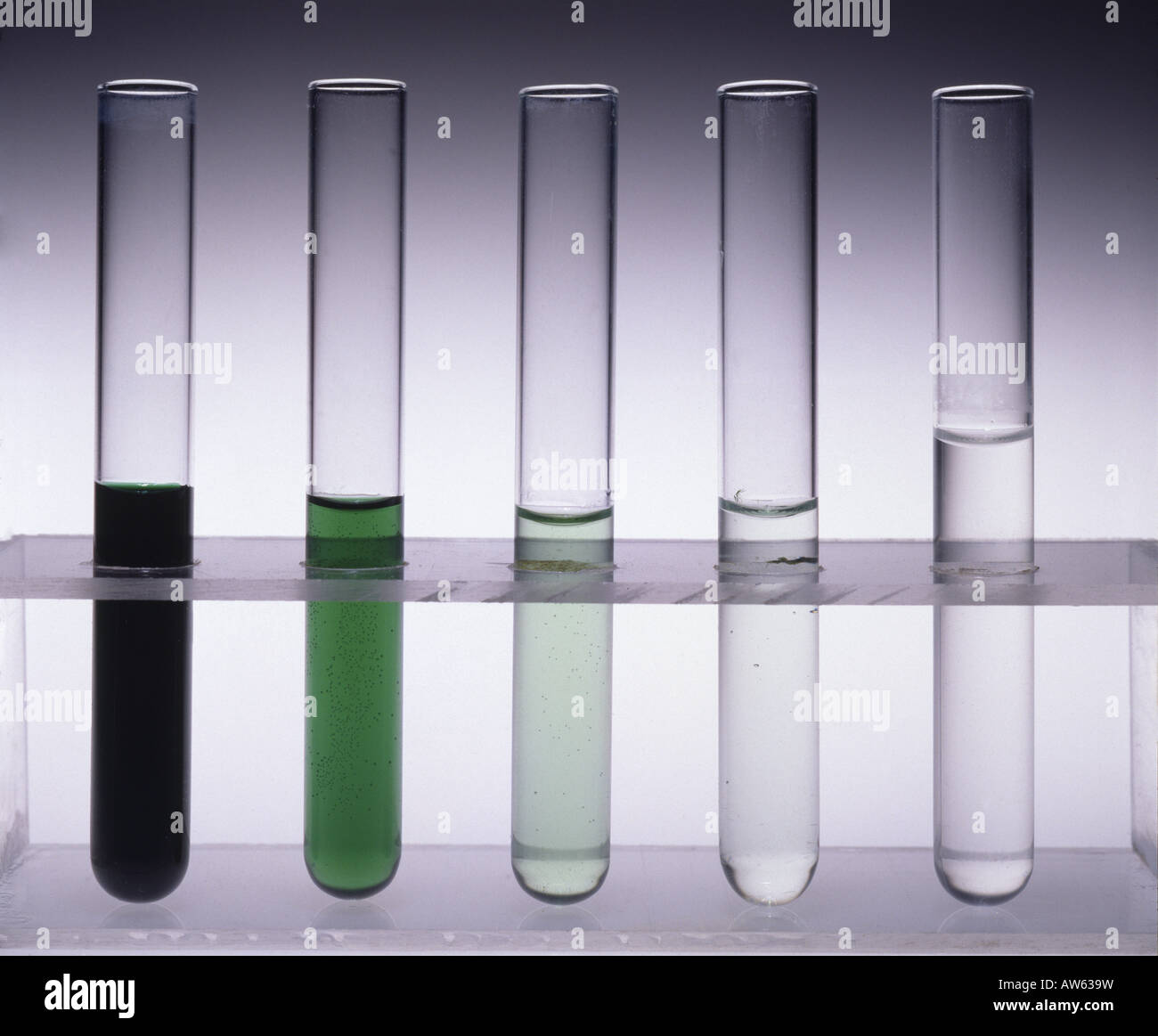 SERIAL DILUTIONS: LEFT TO RIGHT: 1 - 100%, 2 - 20%, 3 - 4%, 4 - .8%, 5 - .16% / STUDIO Stock Photo