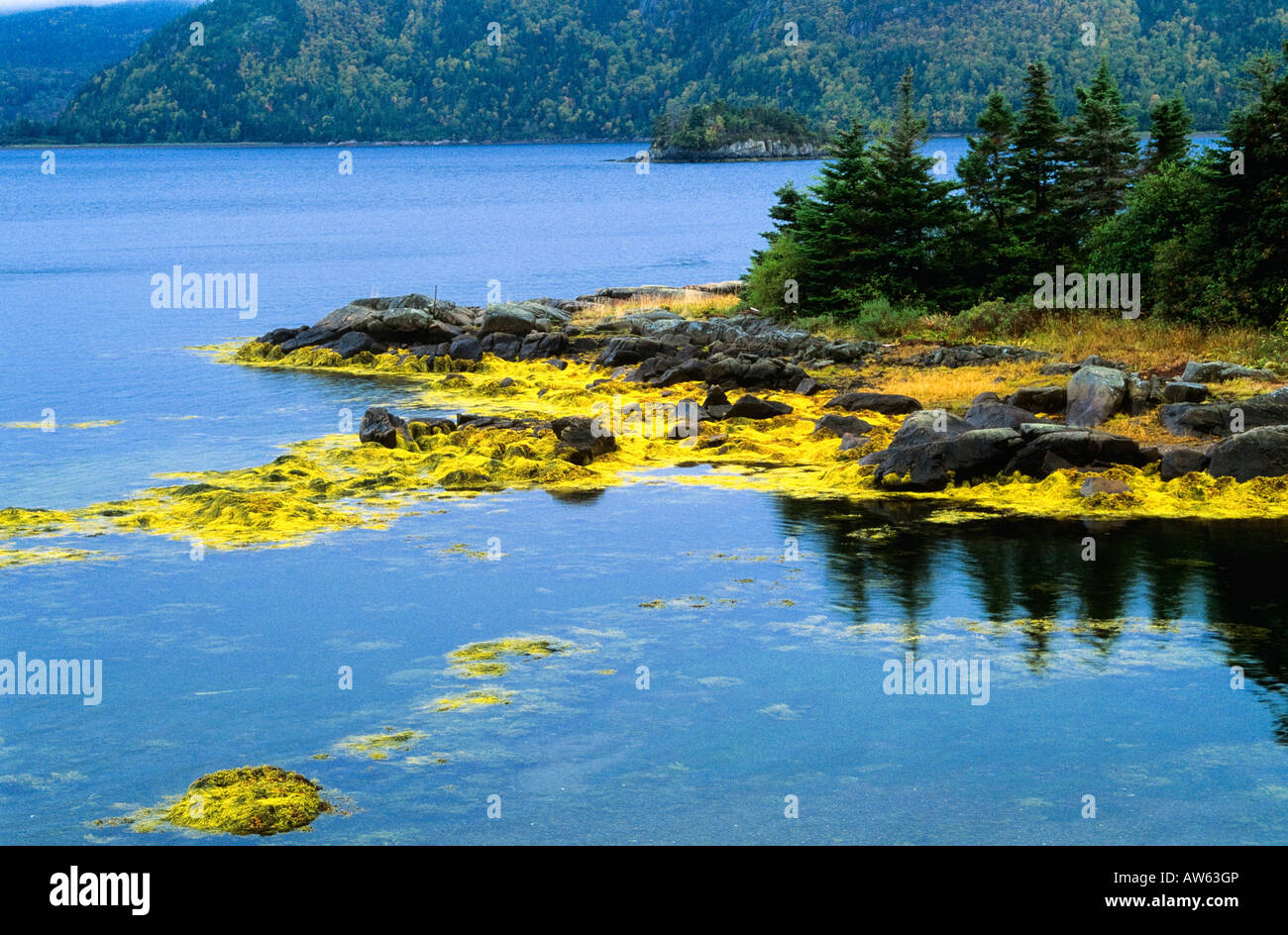 Island at Swift Current, Burin Peninsula, Newfoundland, Canada Stock Photo