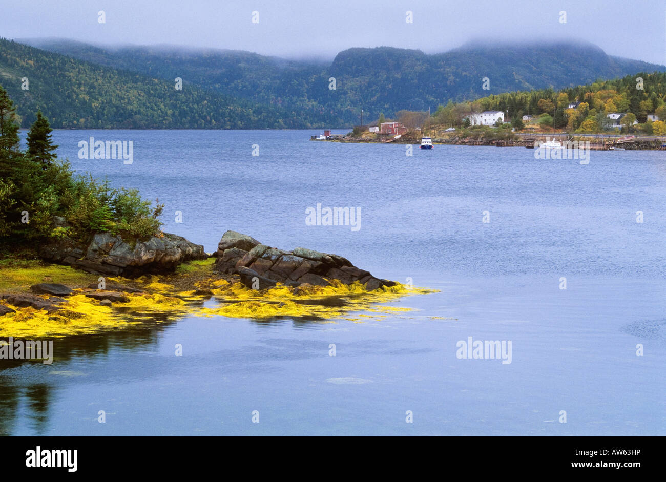 Swift Current, Burin Peninsula, Newfoundland, Canada Stock Photo Alamy