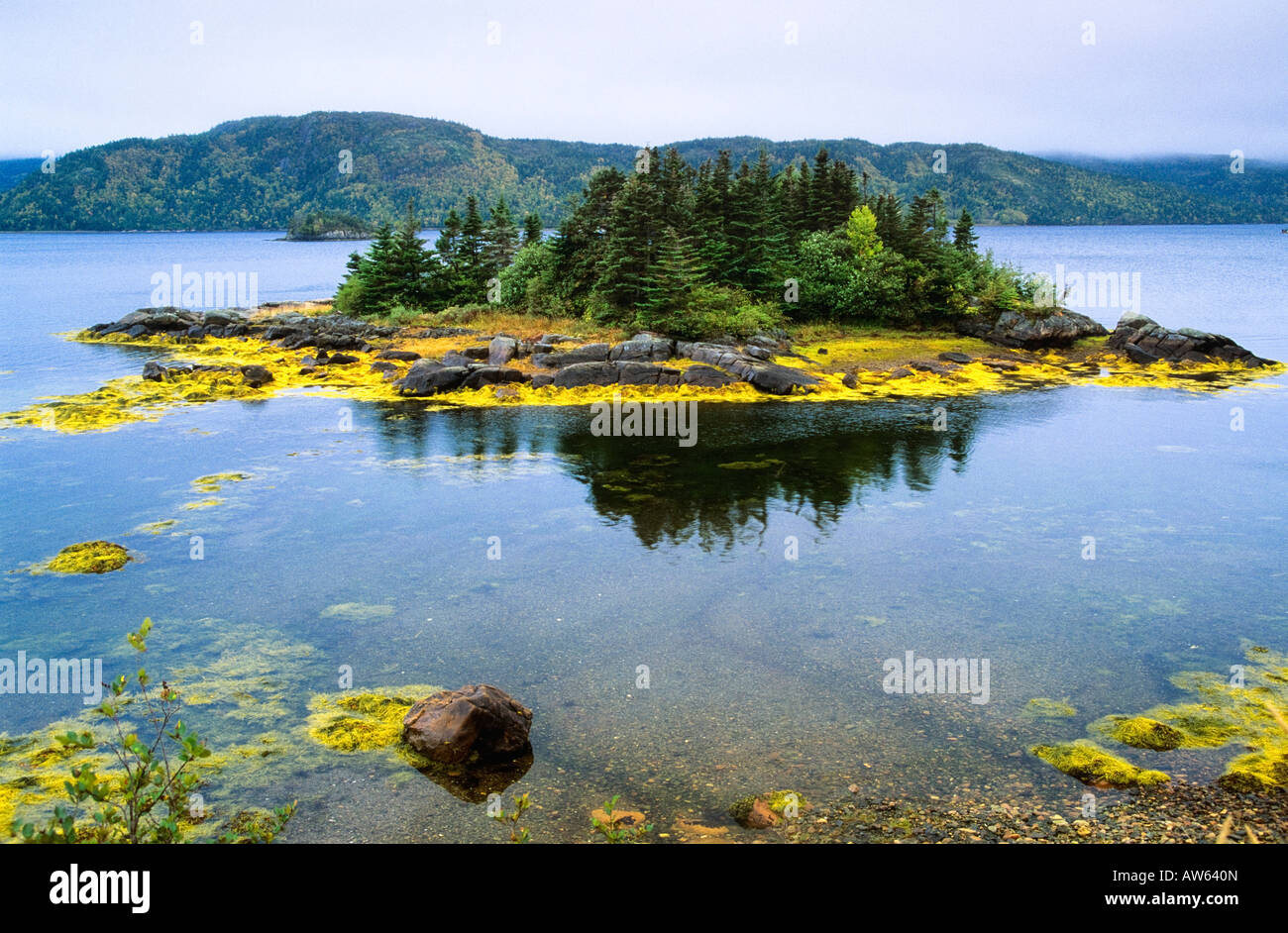 Lake near Swift Current, Burin Peninsula, Newfoundland, Canada Stock Photo