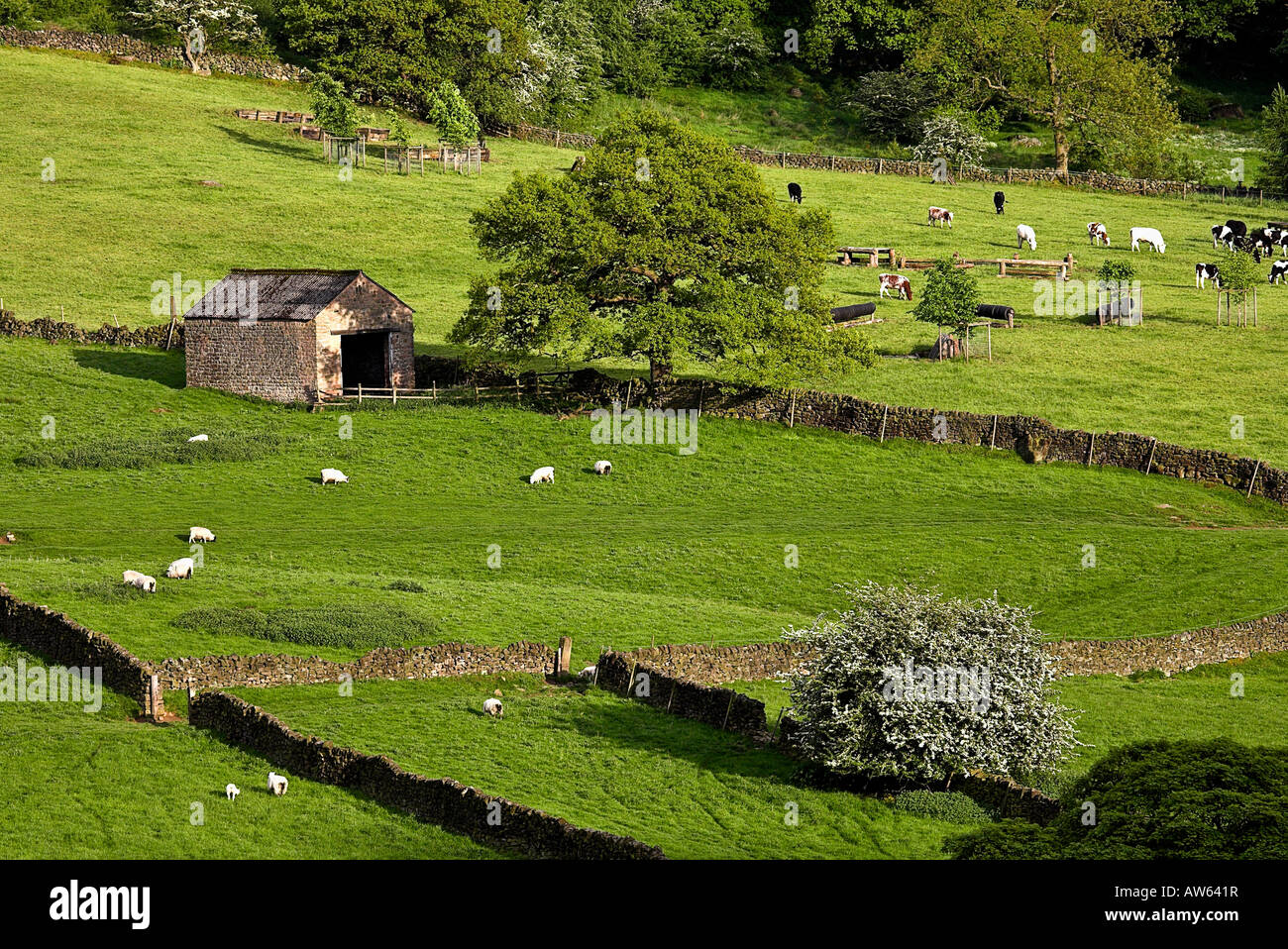Barn in Derbyshire, England Stock Photo - Alamy