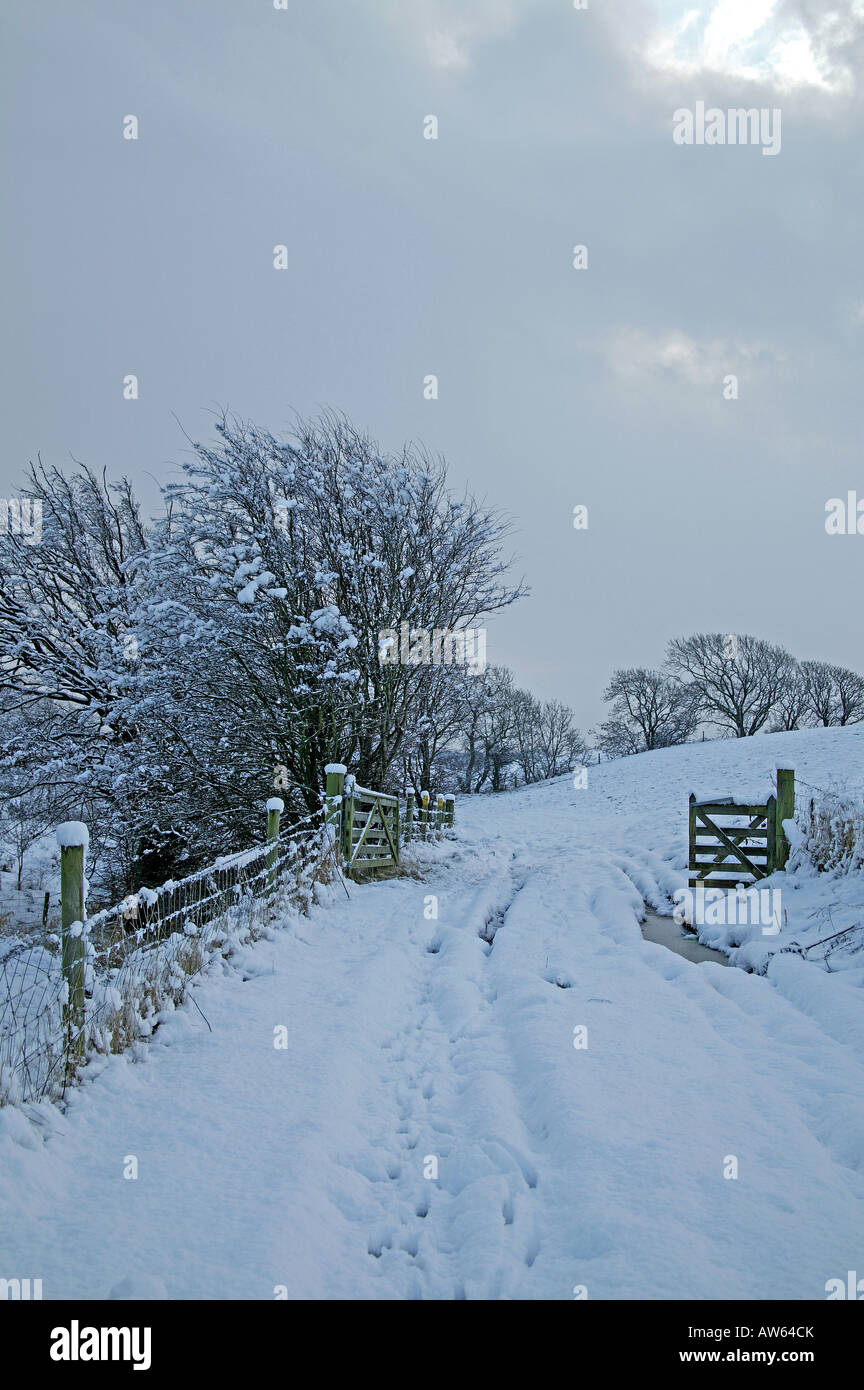 Path leading to gate in a snow covered field bordered by decidious trees Stock Photo