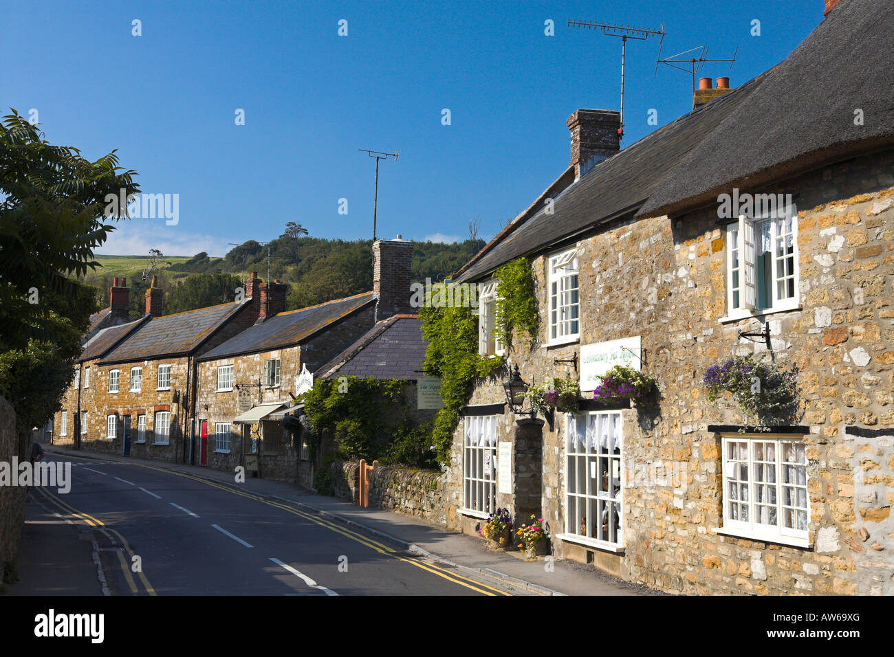 Traditional cottages along lane abbotsbury hires stock photography and