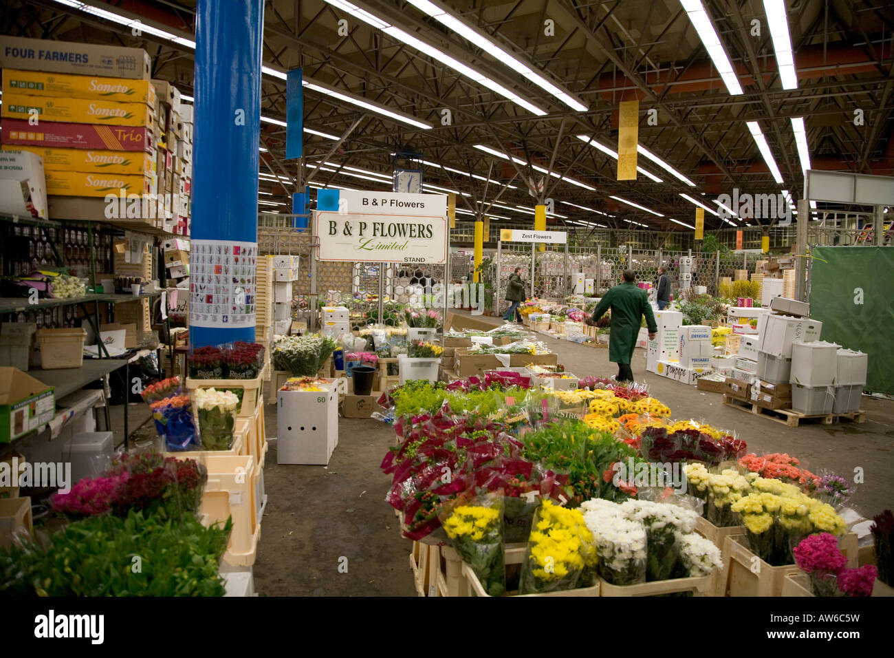 New Covent Garden flower and fruit market, Vauxhall, London, 15th Feb
