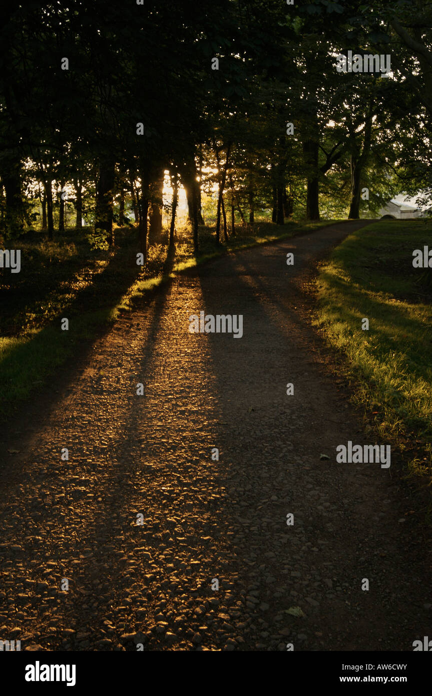 Shining sun with rays hi-res stock photography and images - Alamy