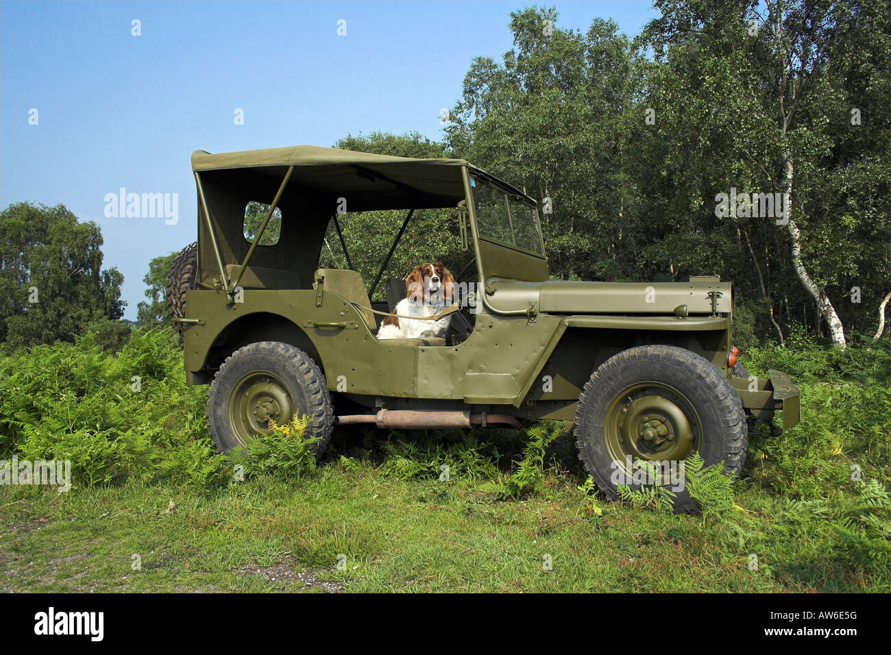American jeep hi-res stock photography and images - Alamy