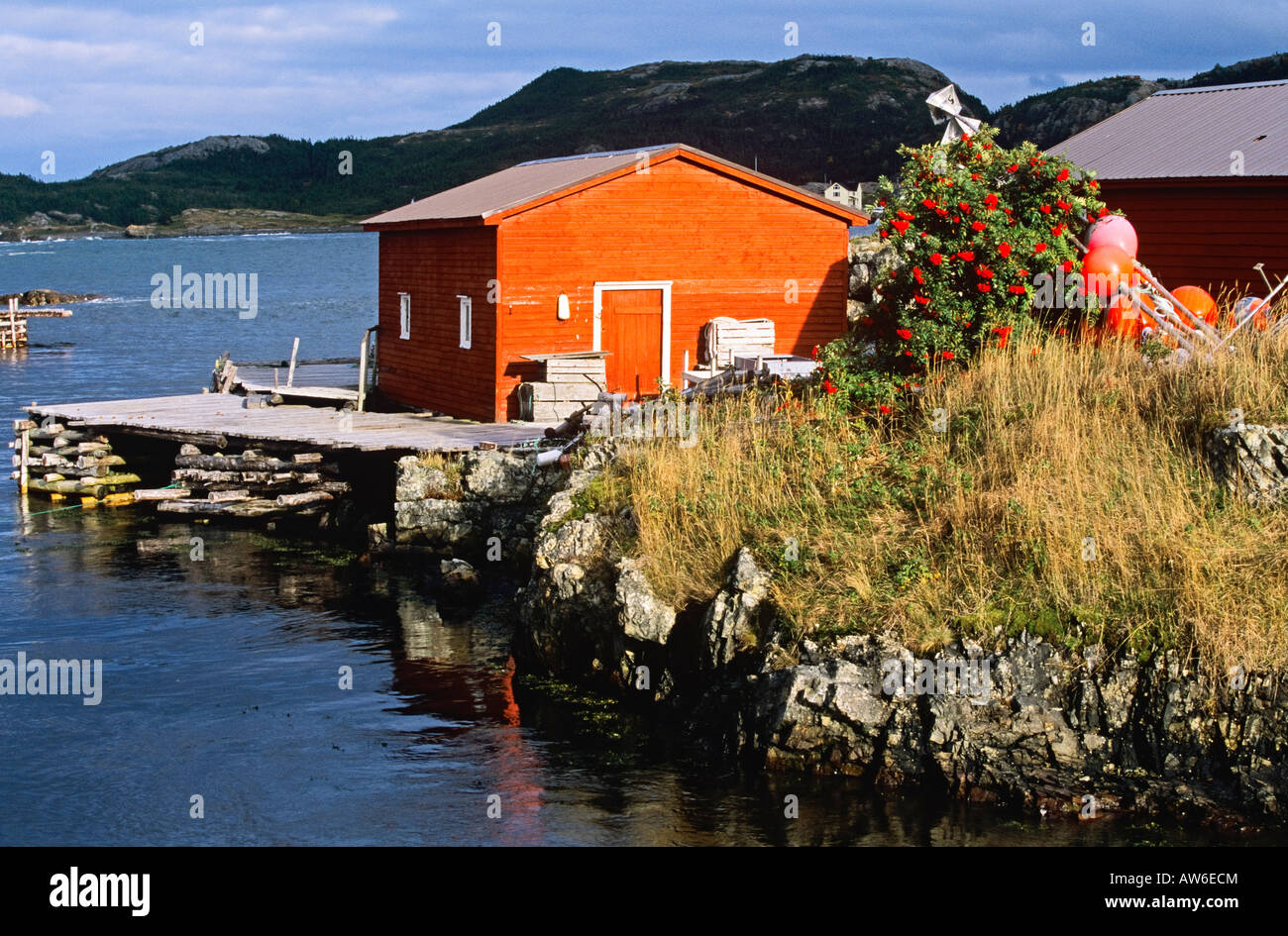 Boat house, Salvage, Newfoundland, Canada Stock Photo Alamy