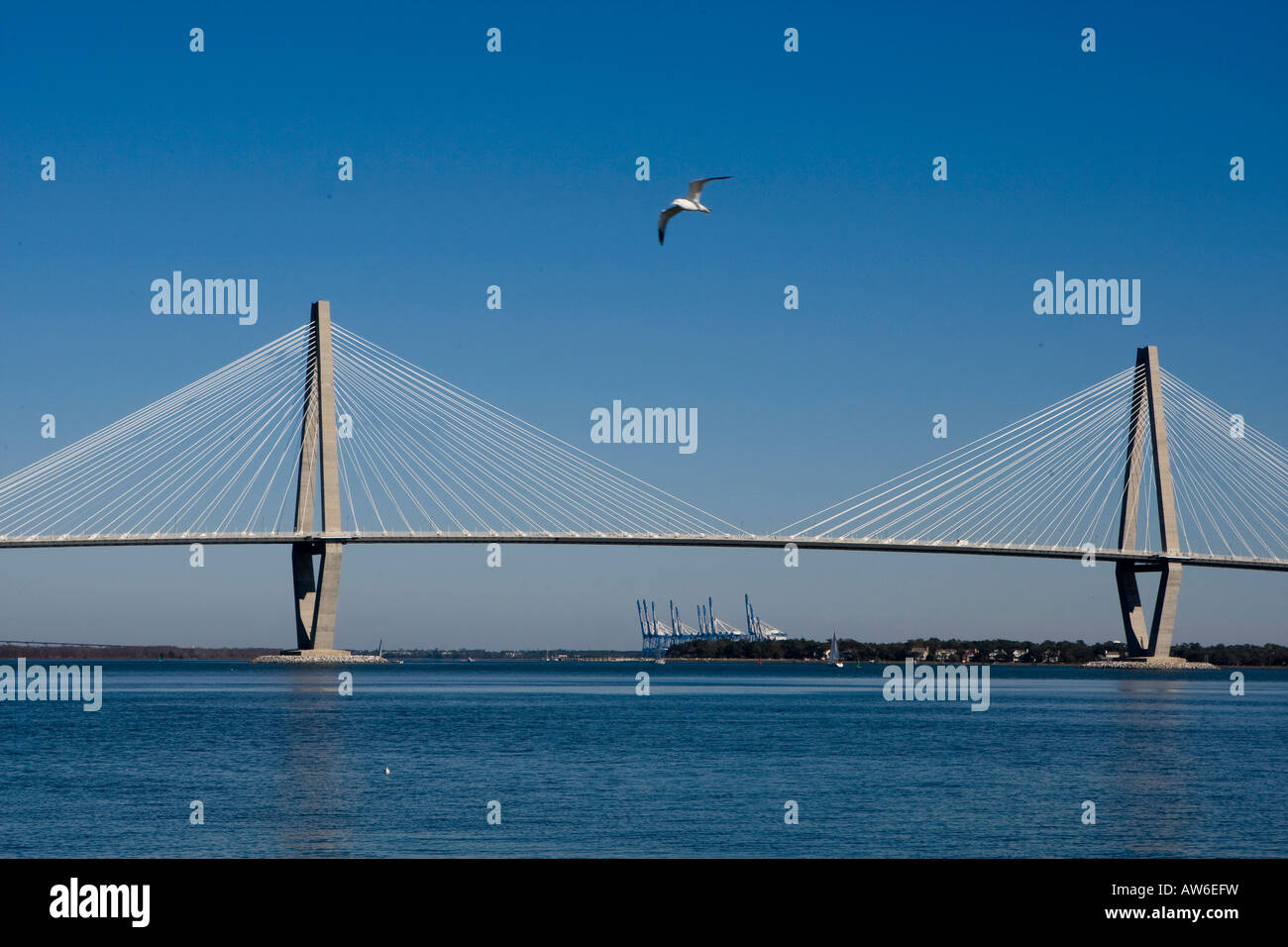 The Arthur Ravenel Jr Cooper River bridge, the longest cable stayed