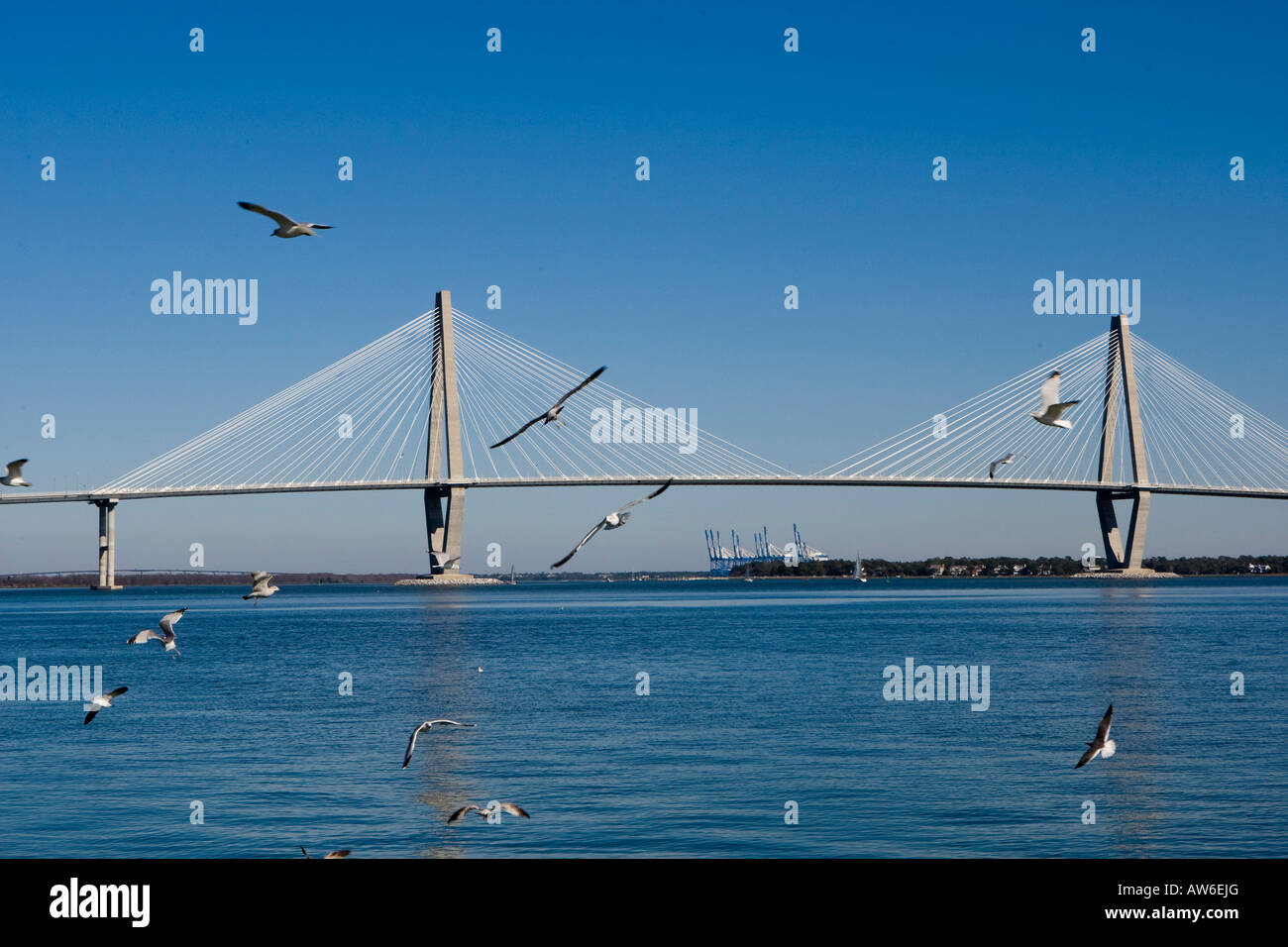The Arthur Ravenel Jr Cooper River bridge, the longest cable stayed