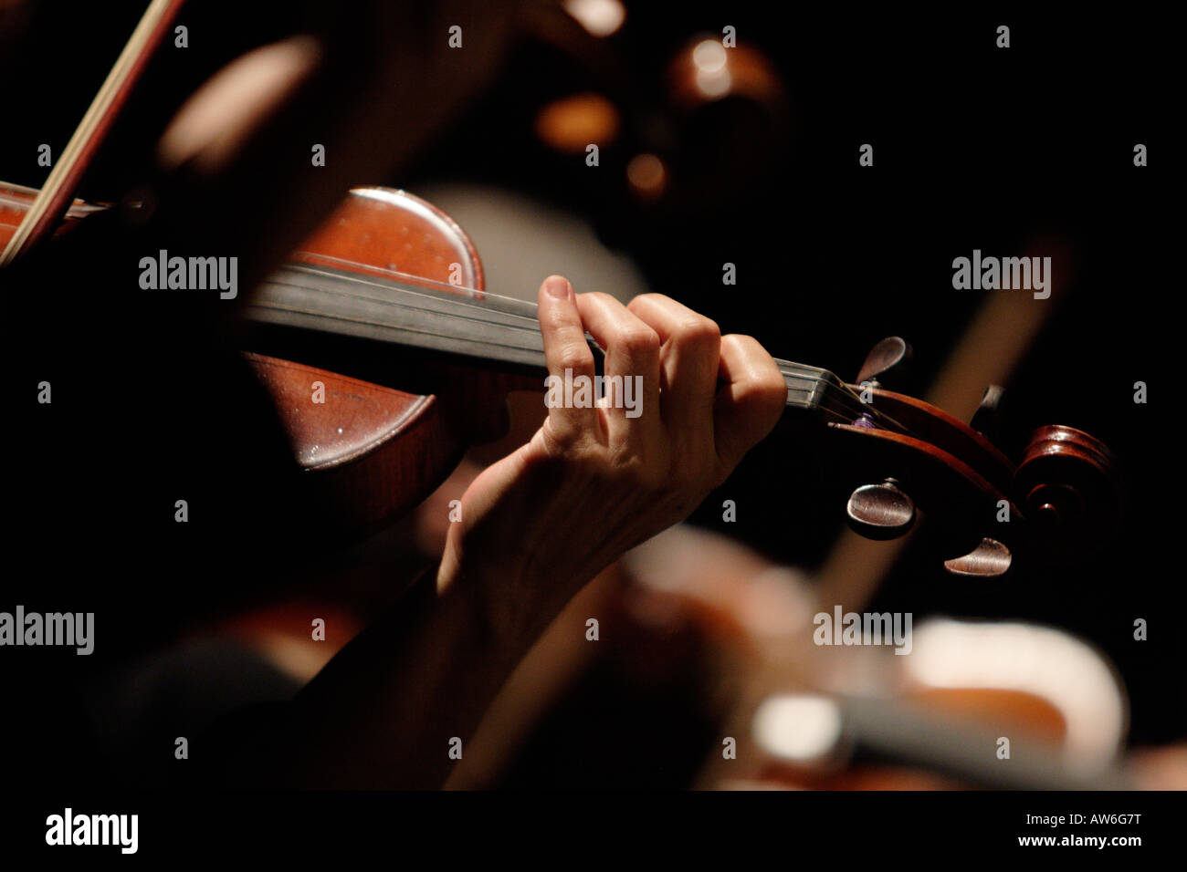 VIolinist playing in a orchestra Stock Photo