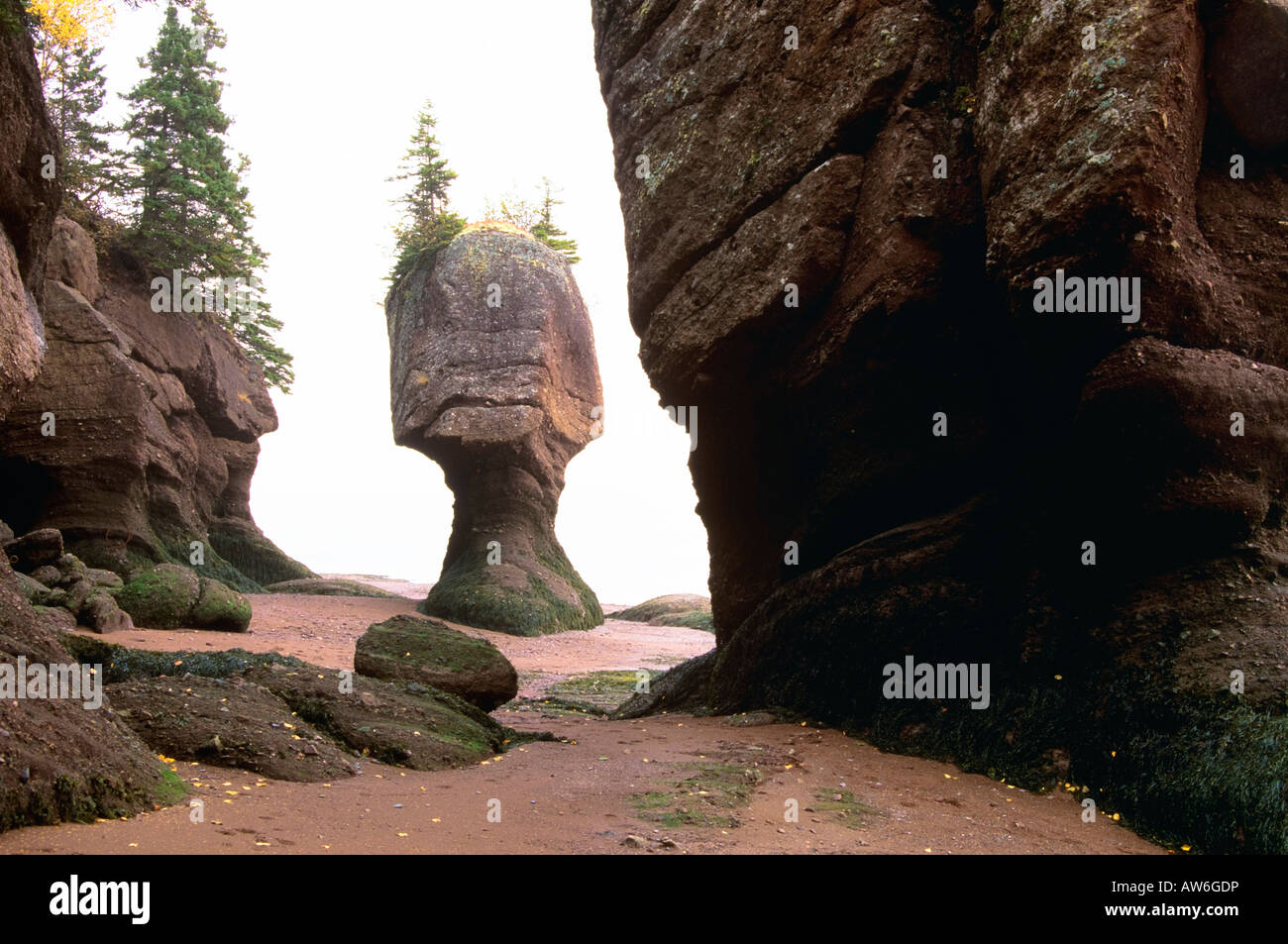 Flowerpot rock, Hopewell Rocks, Shepody Bay, New Brunswick, Canada Stock Photo