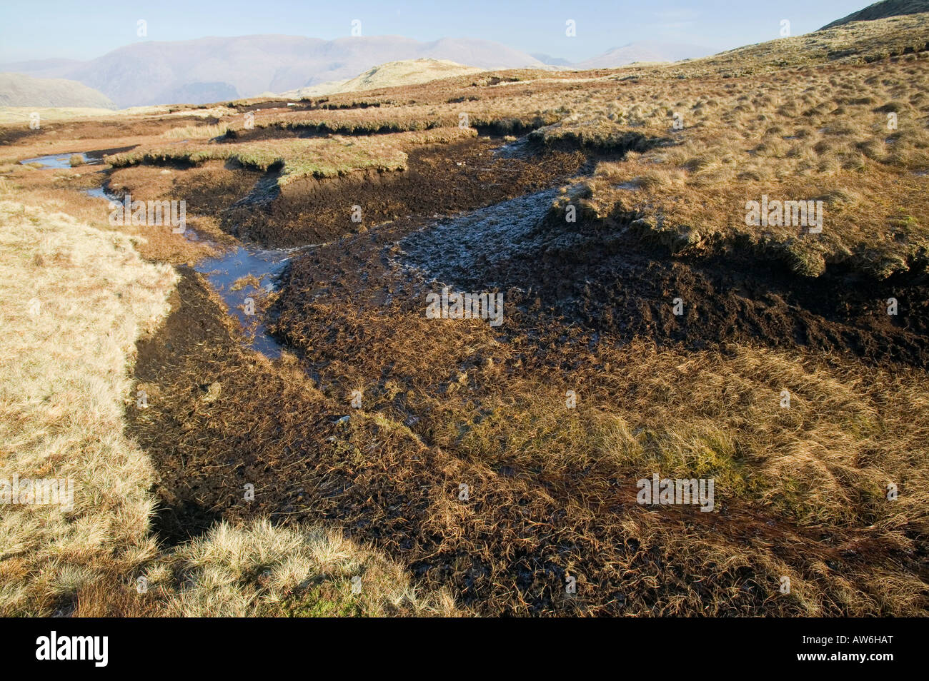 Peat deposits at 1800 feet on Steel Fell in the Lake district,with