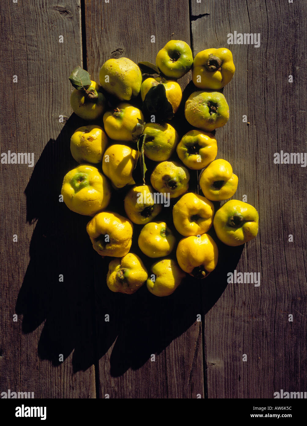 Quince on wooden ground. Photo by Willy Matheisl Stock Photo