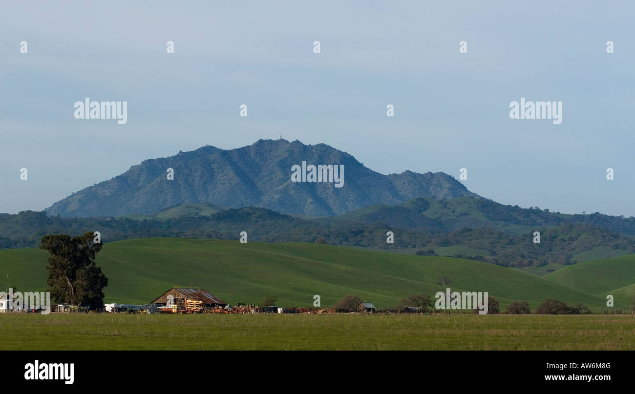 Mount Diablo is seen beyond the rolling green hills of Antioch, California on Friday, March 7, 2008. (Photo by Kevin Bartram) Stock Photo