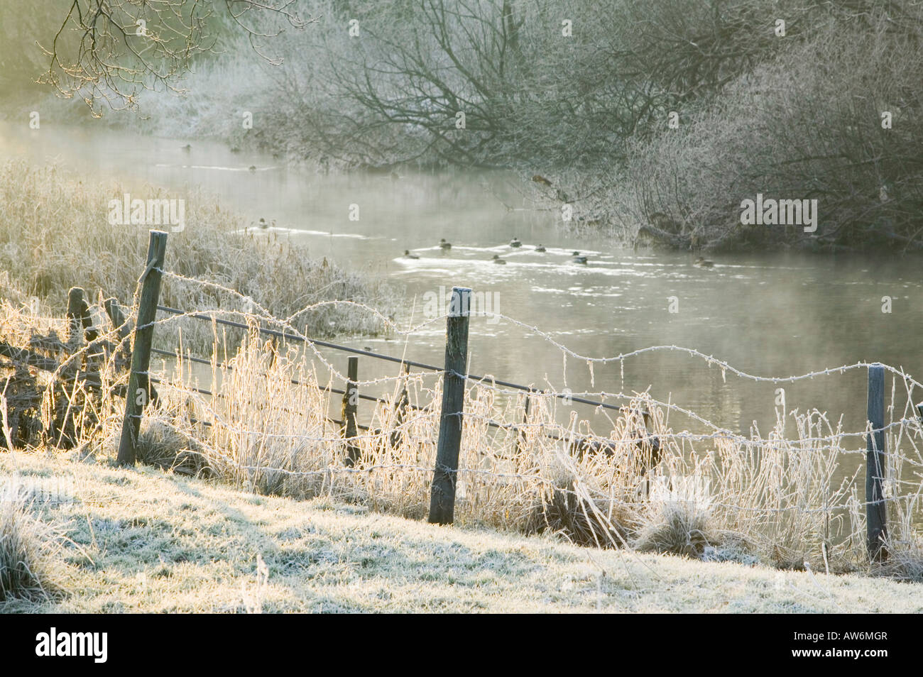 Frost at dawn on the River Brathay near Ambleside Lake district UK Stock Photo