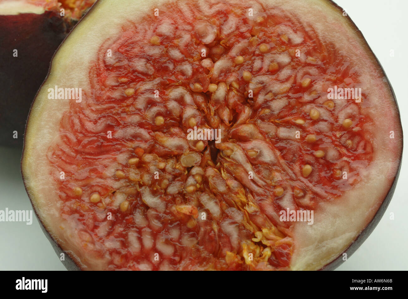 Fig Cross section Stock Photo Alamy