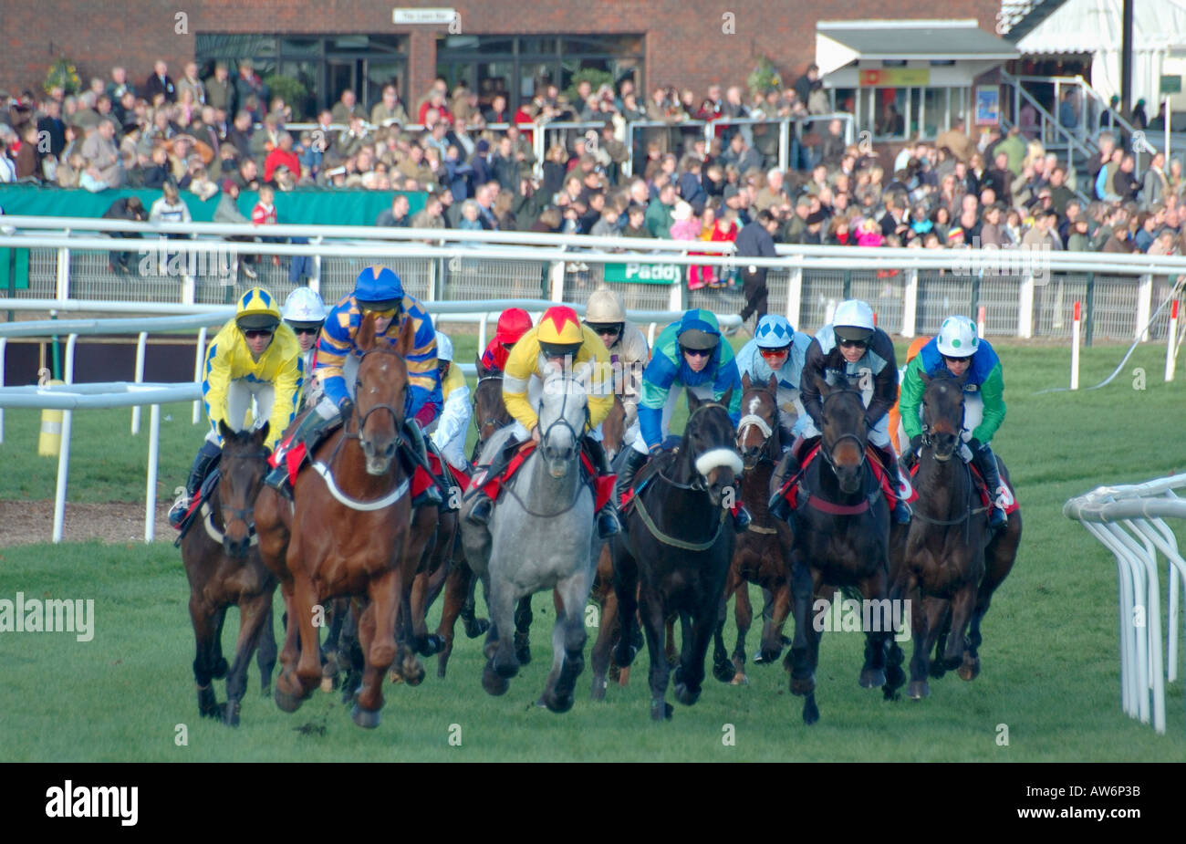Horse race at racing meeting Stock Photo Alamy