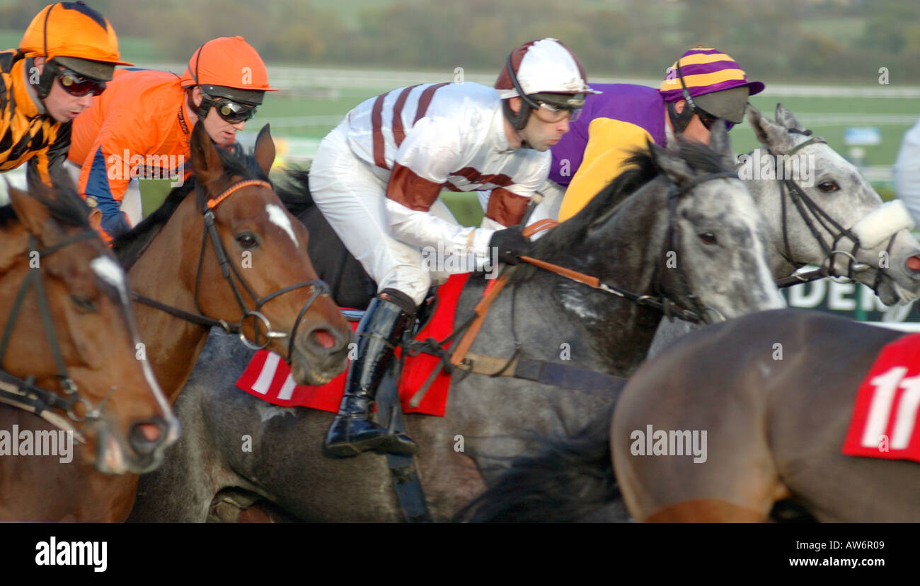 Horse race at racing meeting Stock Photo Alamy