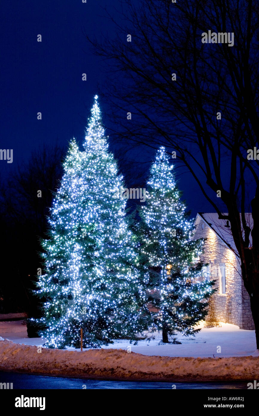 Christmas lights on trees outside Stock Photo - Alamy