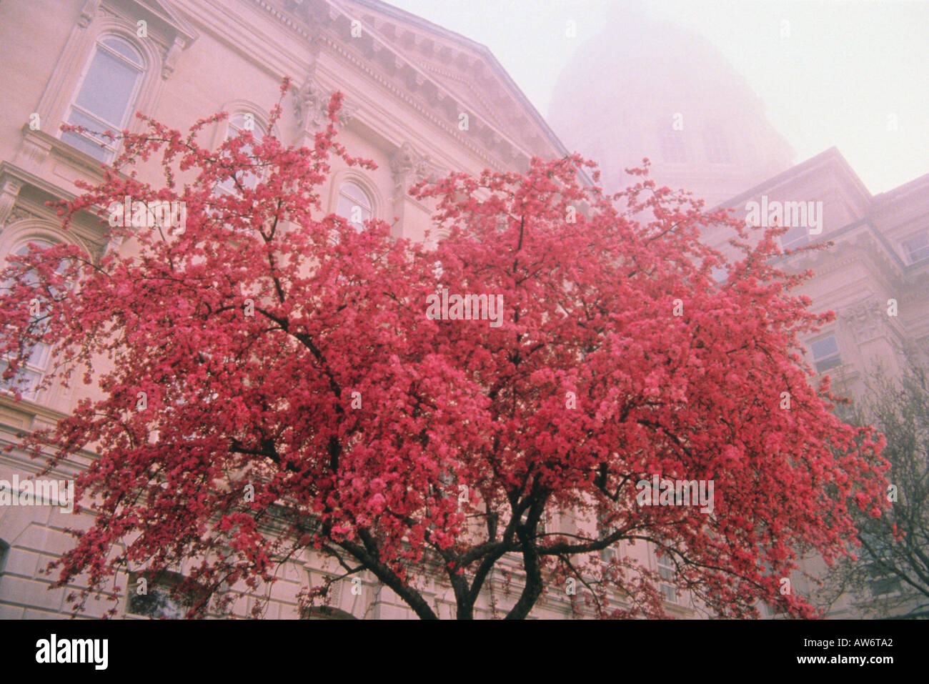 Topeka capitol building hires stock photography and images Alamy