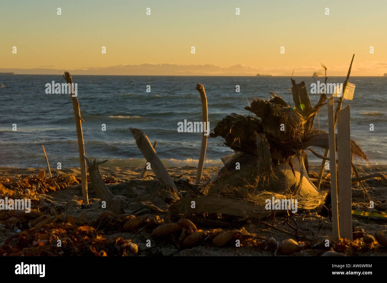 Trash Art on Sunset Beach at Sunset Stock Photo