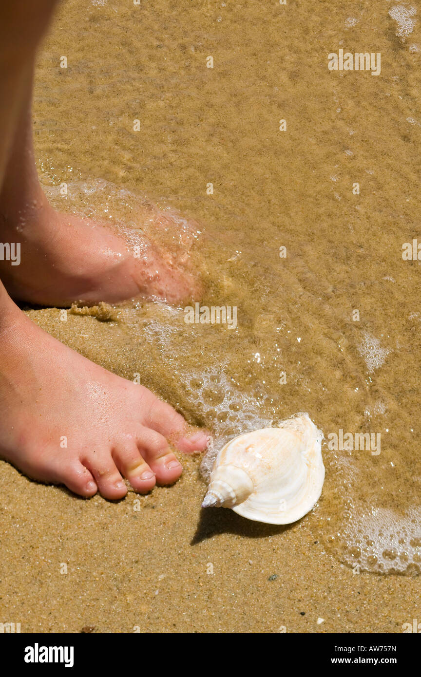 Tropical shells at a girls feet in a beach San Diego, California, USA Stock Photo