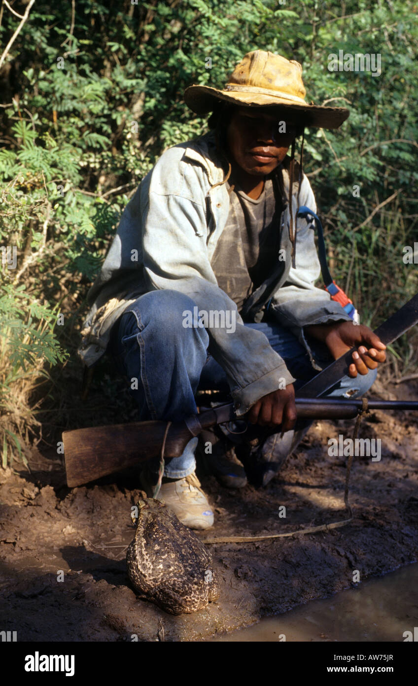An indigenous hunter in the forest facing a big toad Stock Photo
