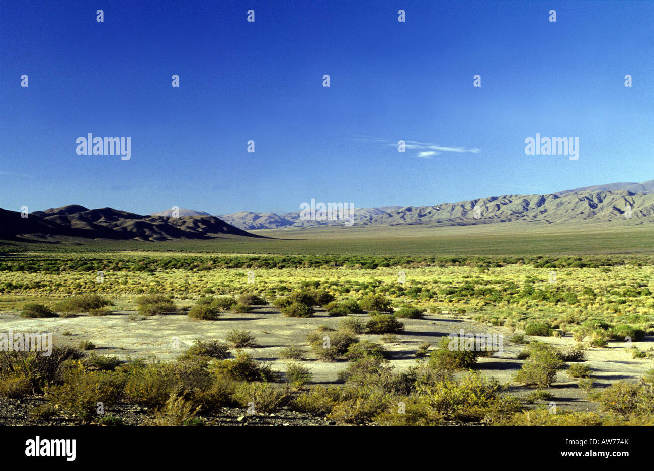 A view of the steppe in El Leoncito Reserve Stock Photo