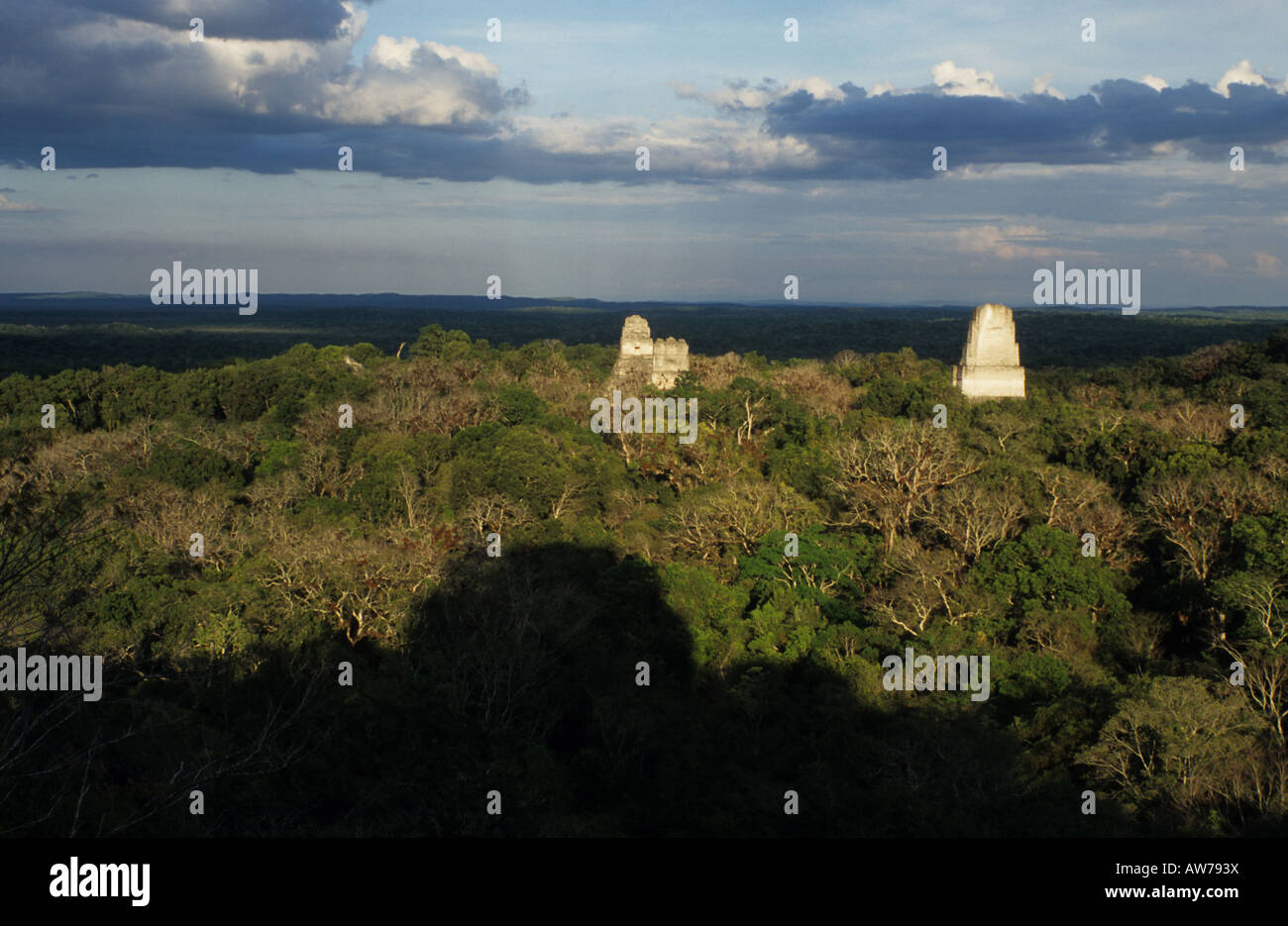 View of Temples 1, 2 and 3 from the top of Temple 4, Tikal, Peten