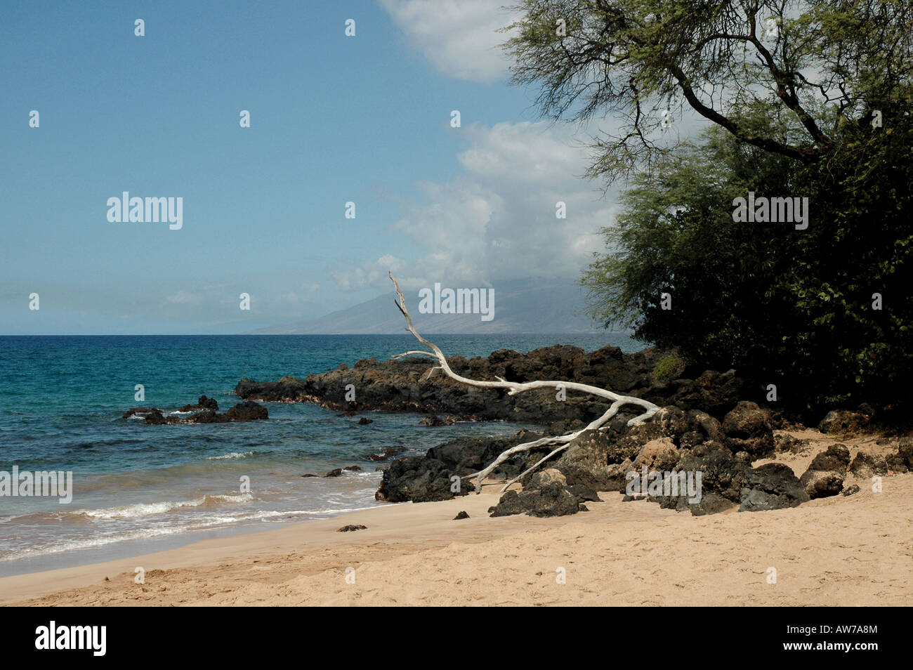 Hawaii beach scene Stock Photo - Alamy