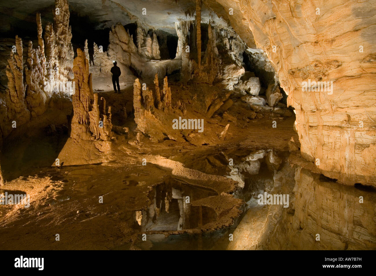 Fitton Cave Beauty Cave Arkansas longest cave 16 5 miles Cecil Cove ...