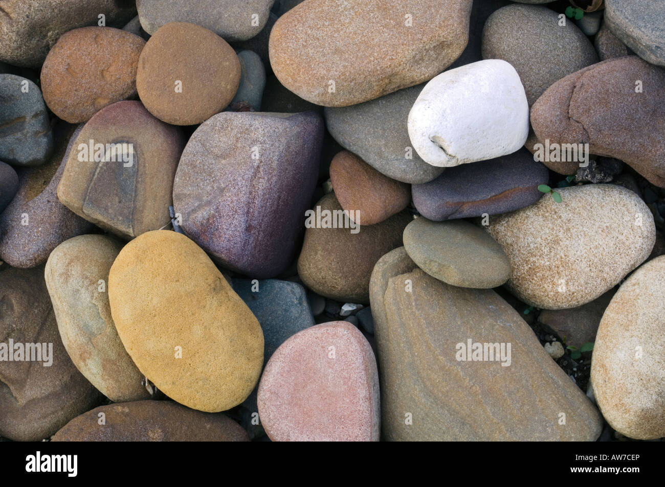 Shore rocks along the Buffalo River Steel Creek access Buffalo National ...