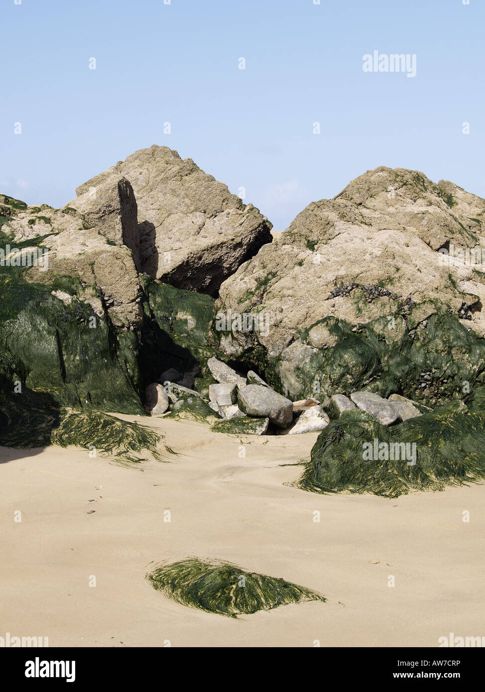 Sandy beach, rocks and seaweed at low tide, Harbour Cove, Padstow Bay
