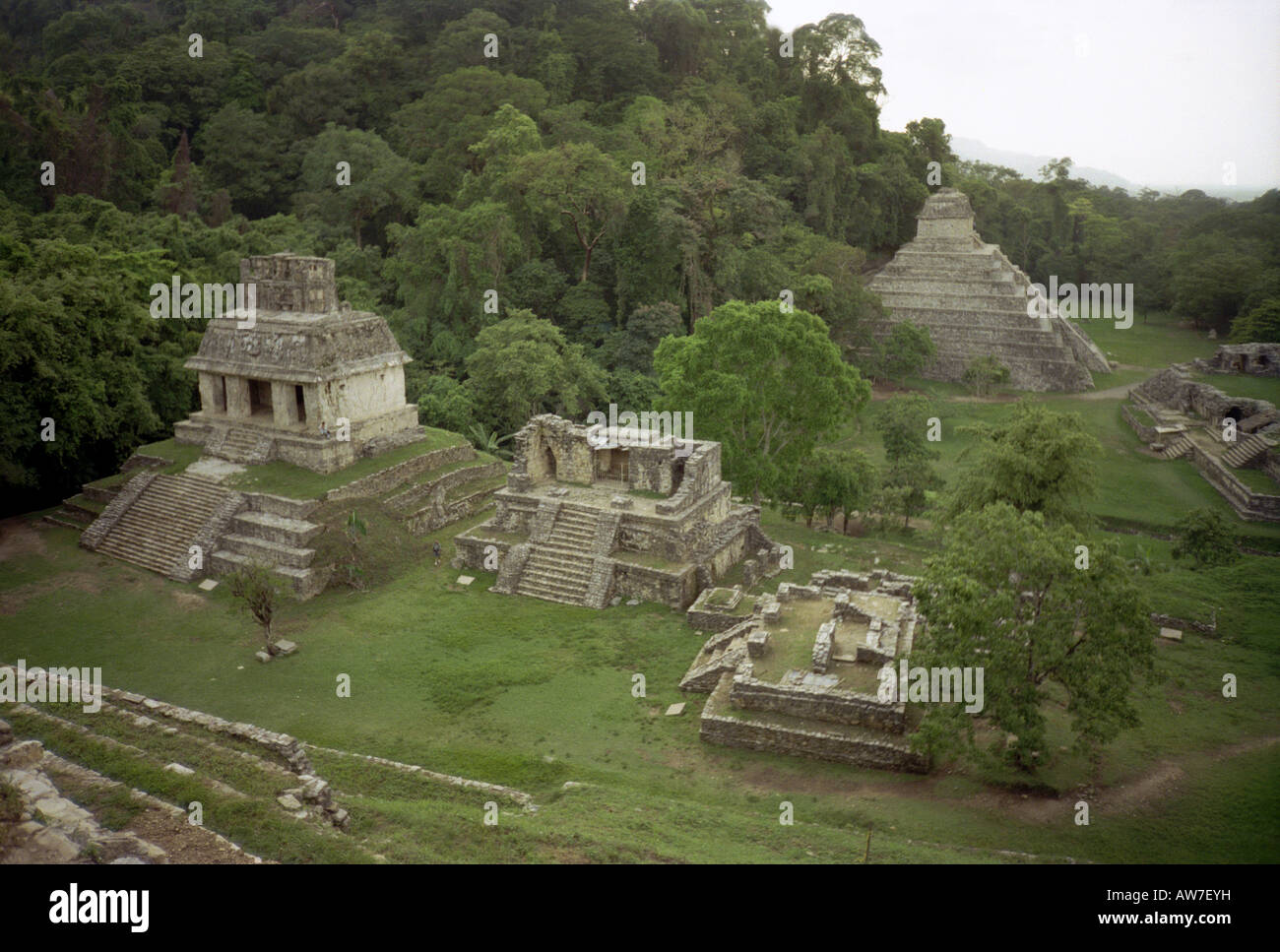 Magnificent Maya site pyramids ancient city jungle tree exotic tropical wild Palenque Yucatan Mexico Central Latin America Stock Photo