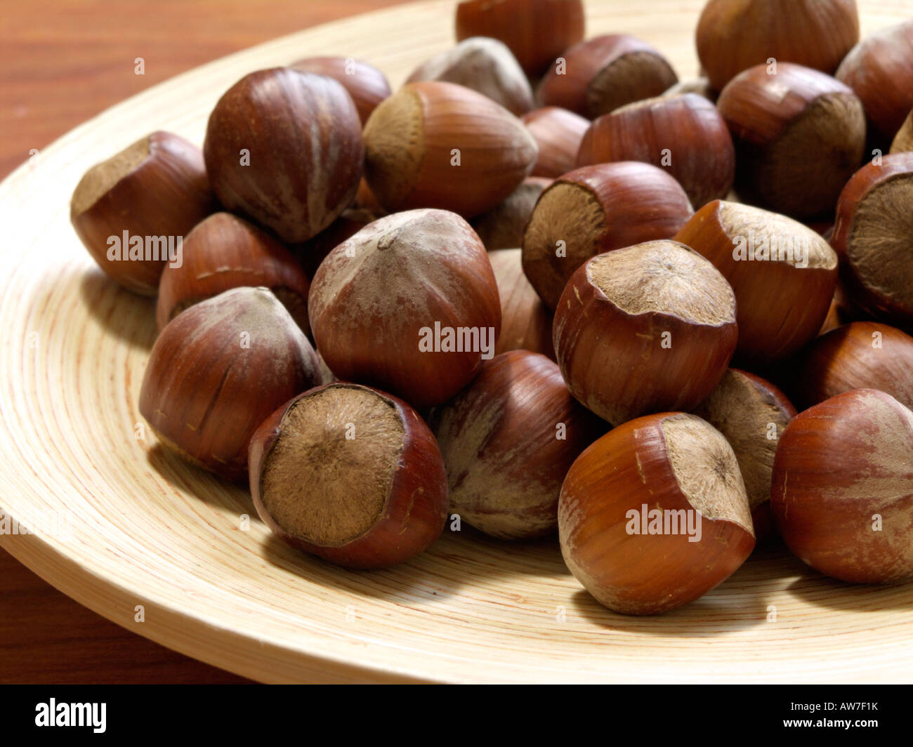 Filbert (Corylus maxima) Stock Photo