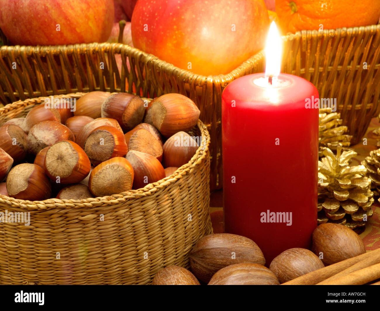 Filbert (Corylus maxima Stock Photo Alamy