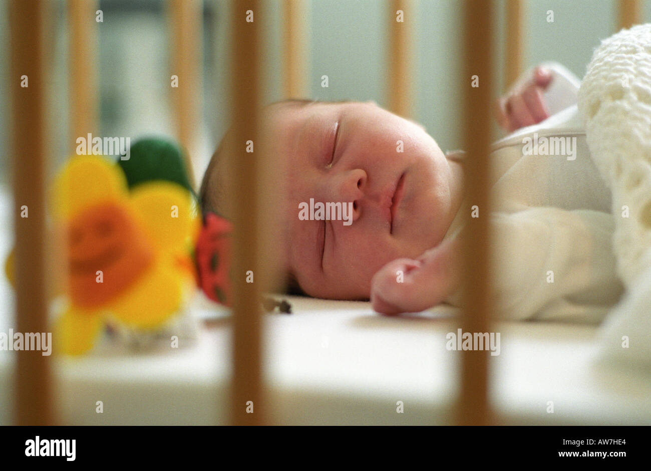 day cot for baby