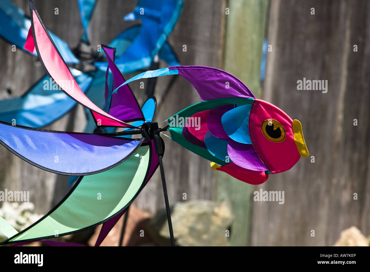 Kite store Bodega Bay, California, USA Stock Photo Alamy