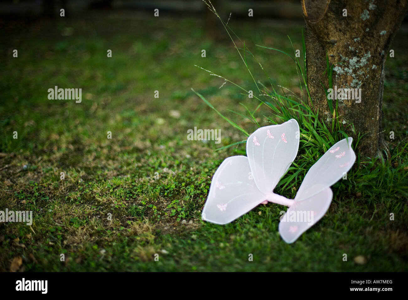 Fairy wings left beside a tree Stock Photo