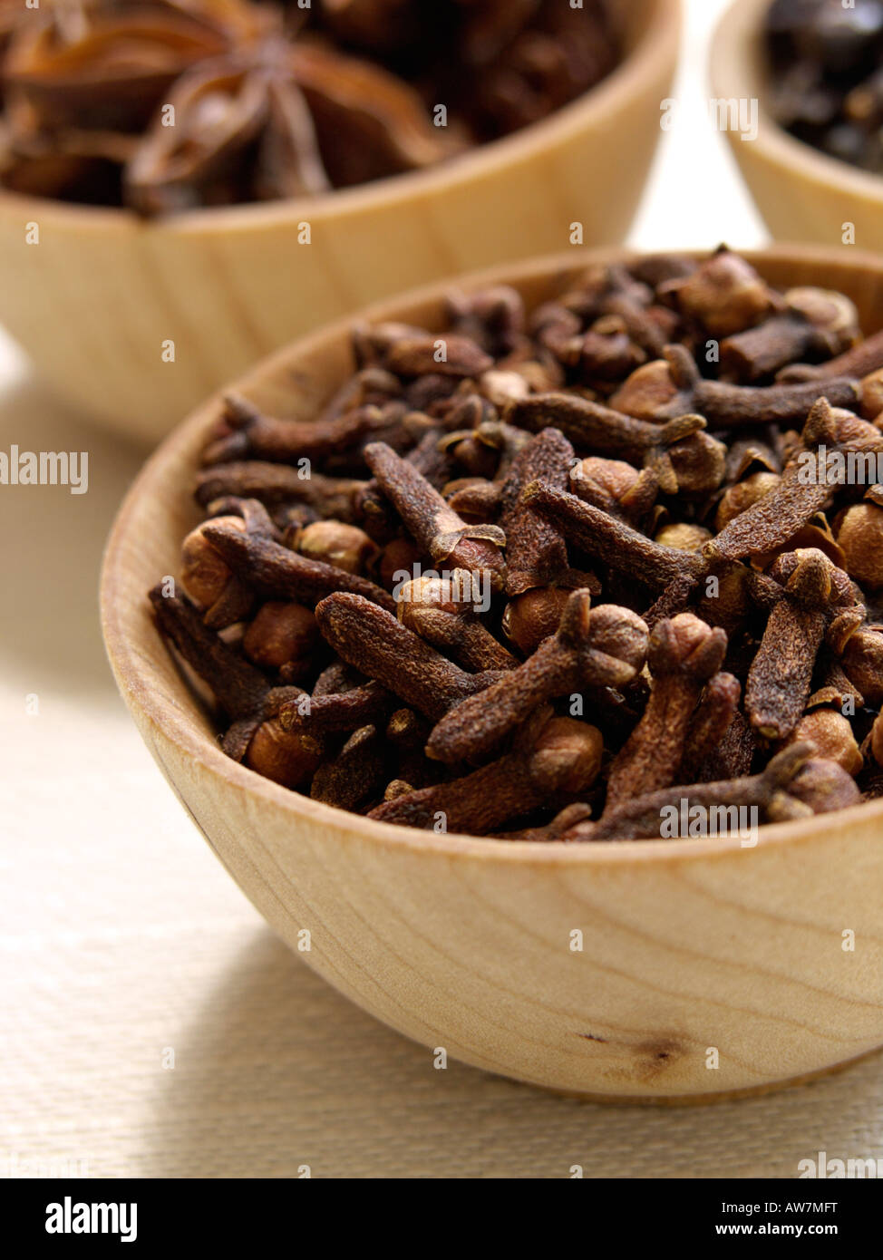 Clove (Syzygium aromaticum) Stock Photo