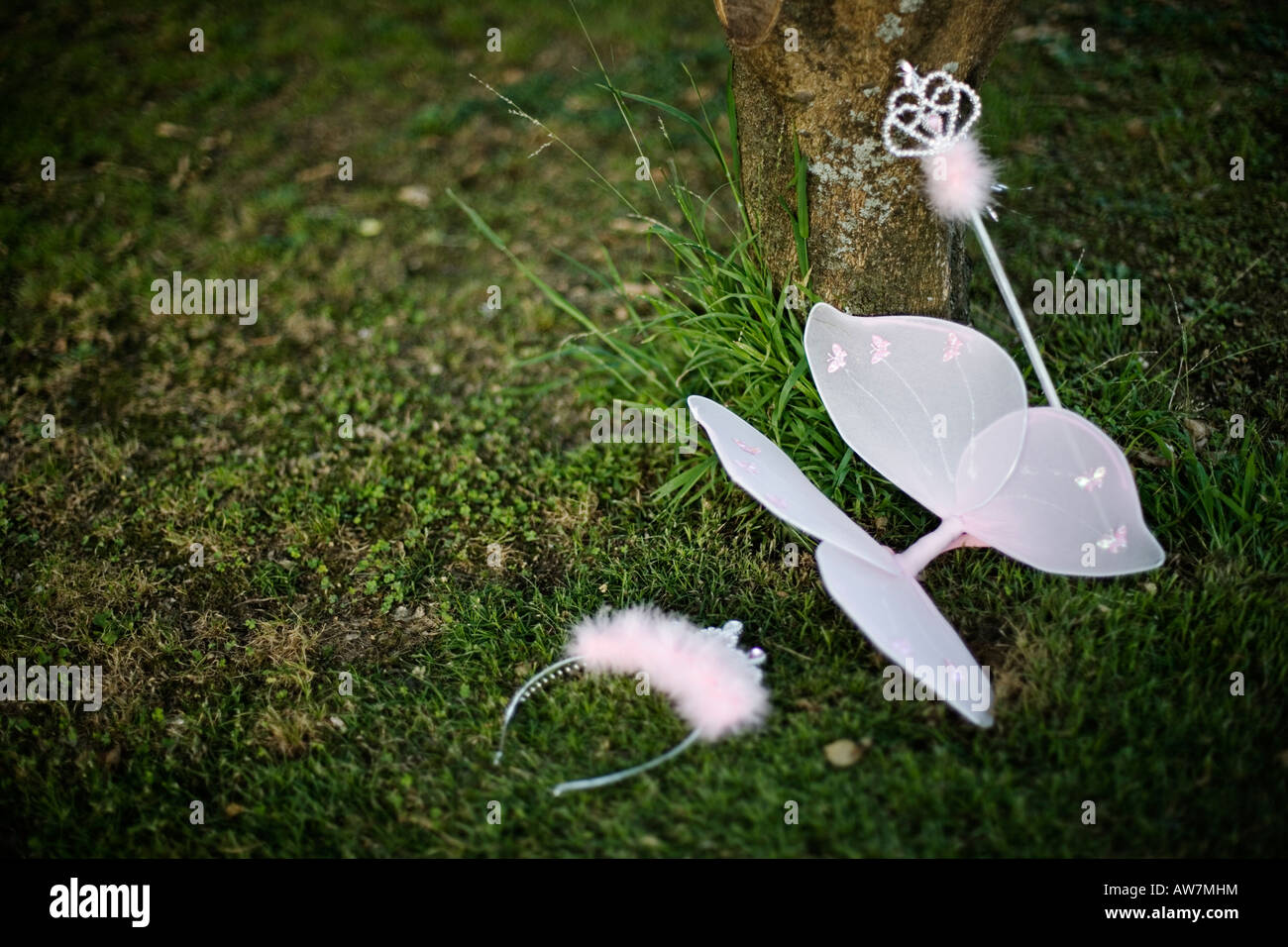 Fairy wings hires stock photography and images Alamy