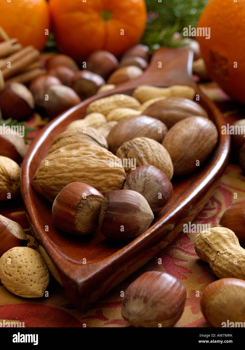 Filbert (Corylus maxima), English walnut (Juglans regia) and peanut (Arachis hypogaea) Stock Photo