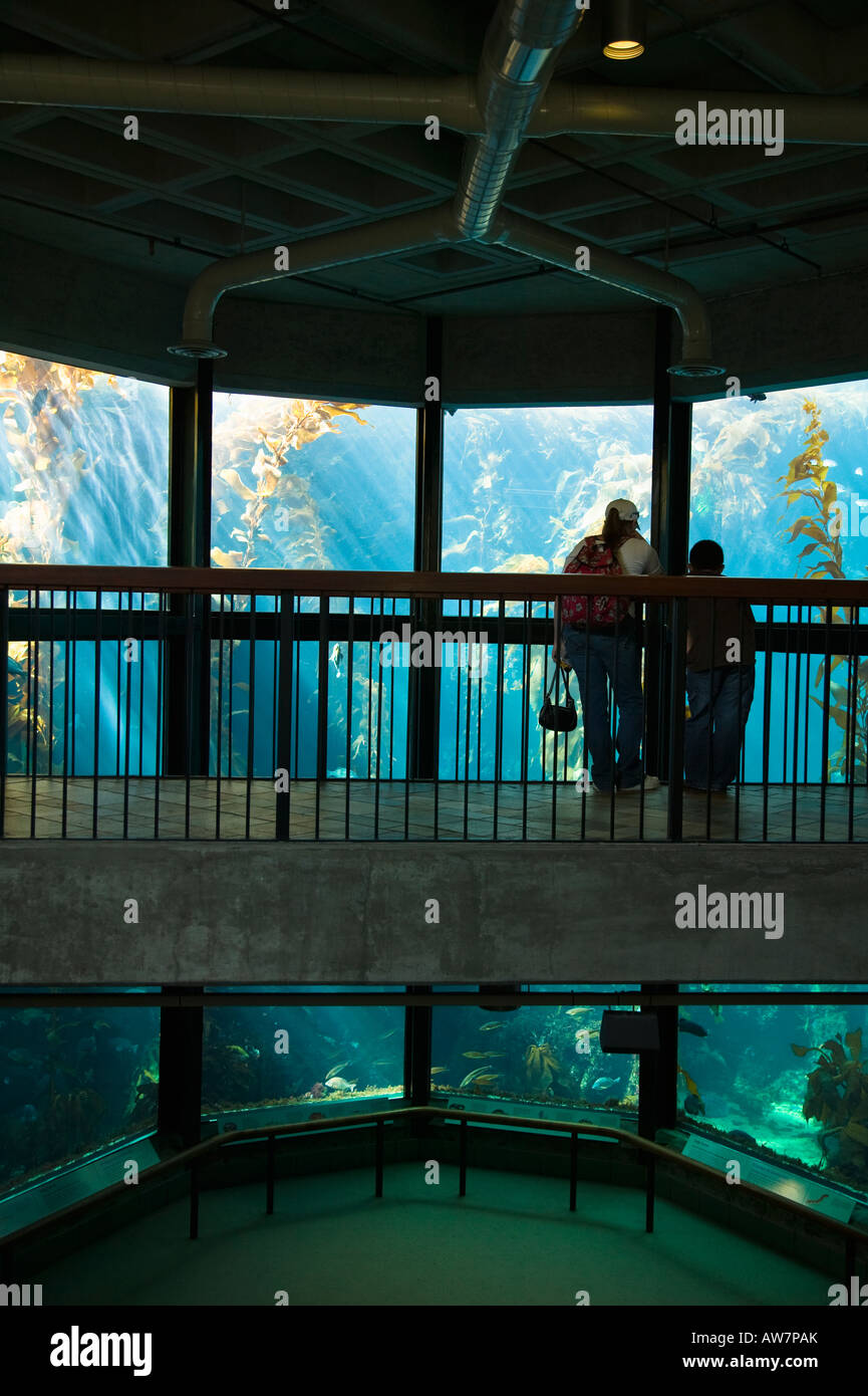 Large tank exhibit Monterey Bay Aquarium, California, USA Stock Photo